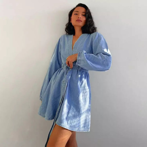 Giselle Denim Belted Dress