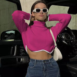 Stella Colour Blocking Cropped Turtleneck-Anonymous The Company